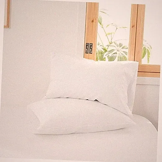 Linen Pillowcases 1 Pair Basic Style 55% Euro 20" x 30" (Pack of 2) White