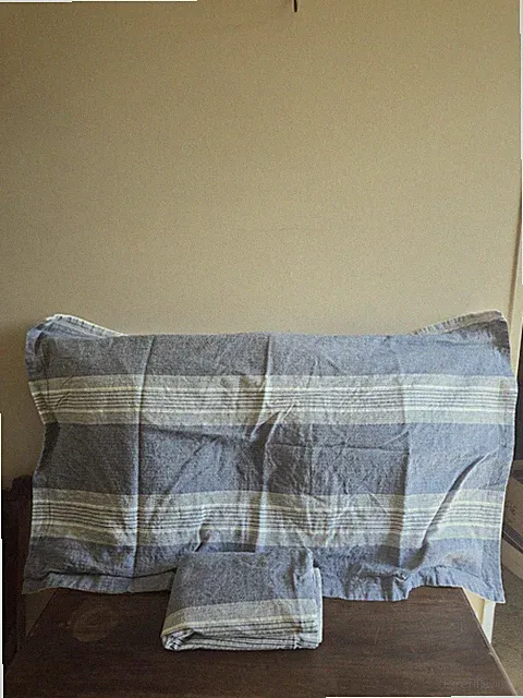 Set Of 2 Threshold Linen Blend Face Blue White Stripes Queen Pillow Shams 33x19"